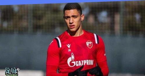 塞尔维亚最新爆料消息,揭秘重大国际事件背后真相!” 第2张 塞尔维亚最新爆料消息,揭秘重大国际事件背后真相!” 第2张